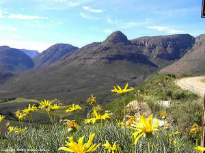 Cederberg, Südafrika. Autor und Copyright Marco Ramerini ...