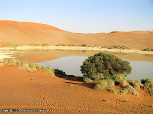 Sossusvlei, Namib Desert, Namib-Naukluft, Namibia. Author and Copyright Marco Ramerini