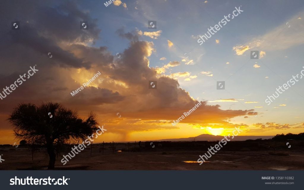 Sunset with lonely tree and storm forming in the distance in the arid lands of the Atacama desert, Chile. Author and Copyright Marco Ramerini